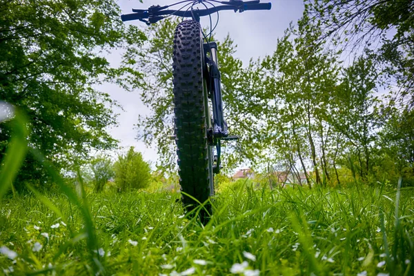 Jeździec Amator Rowerze Parku Wiosennym — Zdjęcie stockowe
