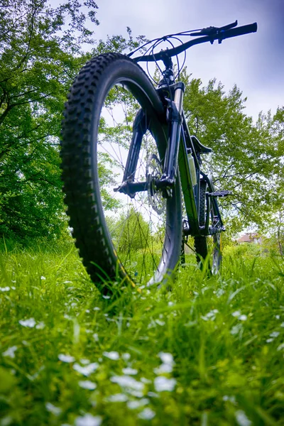 春の公園の自転車に乗っているアマチュアライダー — ストック写真