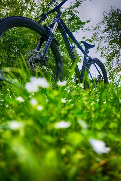 Любительский Велогонщик Велосипеде Весеннем Парке — стоковое фото