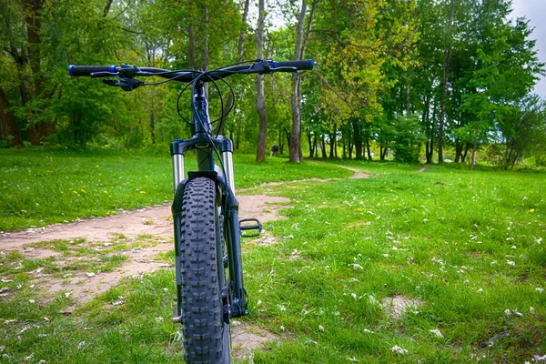 Amateur Jinete Bicicleta Parque Primavera — Foto de Stock