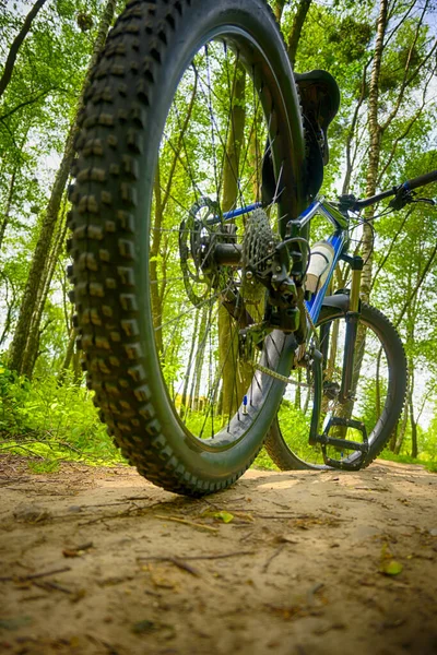 春の公園の自転車に乗っているアマチュアライダー — ストック写真