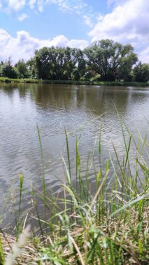 Bir göl manzarası ve yaz mevsiminde gökyüzünde bulutlar