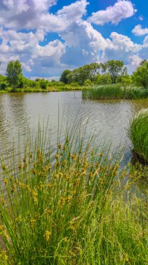 Bir göl manzarası ve yaz mevsiminde gökyüzünde bulutlar