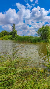 Bir göl manzarası ve yaz mevsiminde gökyüzünde bulutlar