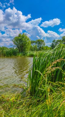Bir göl manzarası ve yaz mevsiminde gökyüzünde bulutlar