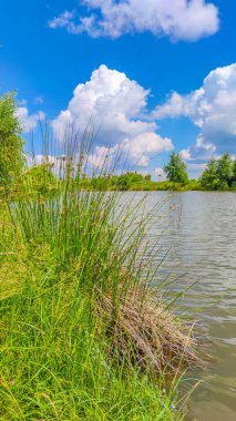Bir göl manzarası ve yaz mevsiminde gökyüzünde bulutlar
