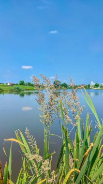 Bir göl manzarası ve yaz mevsiminde gökyüzünde bulutlar