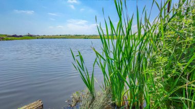 Bir göl manzarası ve yaz mevsiminde gökyüzünde bulutlar