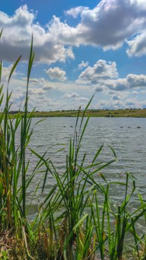 Bir göl manzarası ve yaz mevsiminde gökyüzünde bulutlar