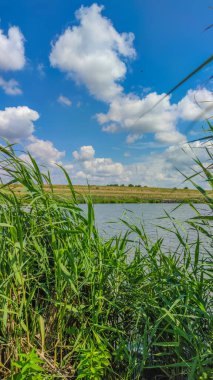 Bir göl manzarası ve yaz mevsiminde gökyüzünde bulutlar