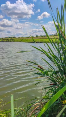 Bir göl manzarası ve yaz mevsiminde gökyüzünde bulutlar