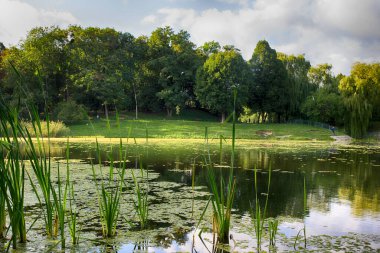 Sonbahar mevsiminde şehir parkında güzel bir göl.