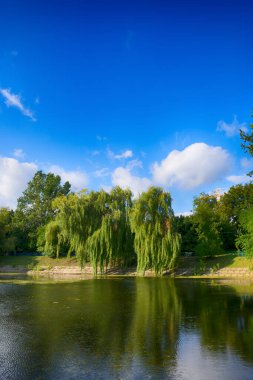 Sonbahar mevsiminde şehir parkında güzel bir göl.