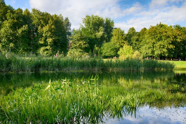 Lindo Lago Parque Cidade Temporada Outono Fotos De Bancos De Imagens Sem Royalties