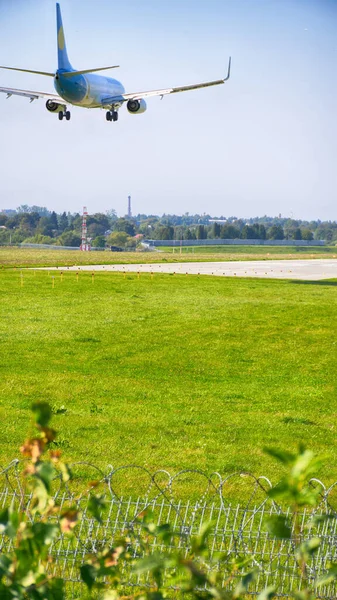 Airplane landing on the airport. Perfect view on the airplane with different high.