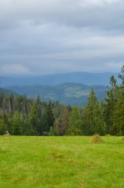 Karpaty — Zdjęcie stockowe