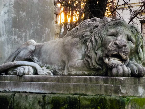 Lviv aslan anıt — Stok fotoğraf