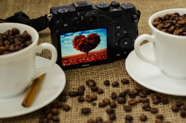 Grão de café ainda vida — Fotografia de Stock