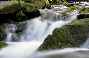 Karpat şelale Shypit