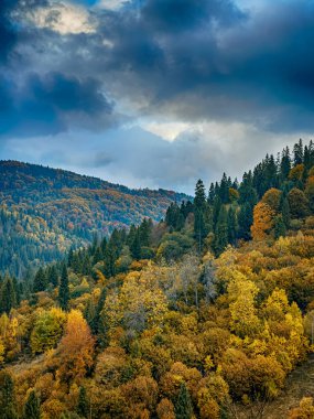 Sisli Sonbahar Yağmuru Ukrayna Karpatlar üzerinde Bulutlu.