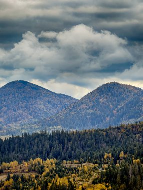 Sisli Sonbahar Yağmuru Ukrayna Karpatlar üzerinde Bulutlu.