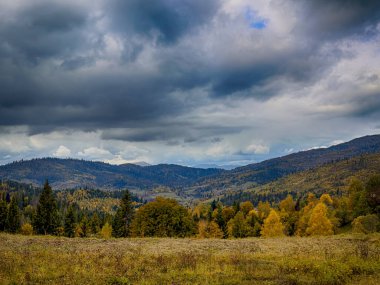 Sisli Sonbahar Yağmuru Ukrayna Karpatlar üzerinde Bulutlu.