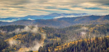 Sisli Sonbahar Yağmuru Ukrayna Karpatlar üzerinde Bulutlu.