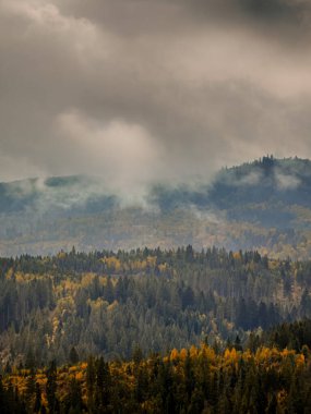 Sisli Sonbahar Yağmuru Ukrayna Karpatlar üzerinde Bulutlu.