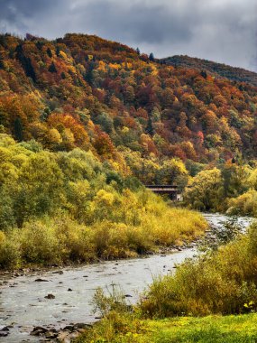 Sisli Sonbahar Yağmuru Ukrayna Karpatlar üzerinde Bulutlu.