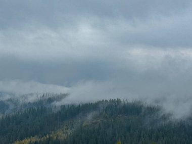 Sisli Sonbahar Yağmuru Ukrayna Karpatlar üzerinde Bulutlu.