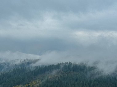 Sisli Sonbahar Yağmuru Ukrayna Karpatlar üzerinde Bulutlu.