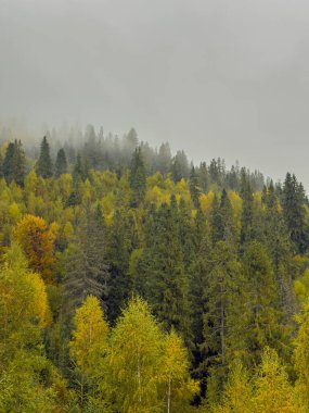 Sisli Sonbahar Yağmuru Ukrayna Karpatlar üzerinde Bulutlu.