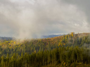 Sisli Sonbahar Yağmuru Ukrayna Karpatlar üzerinde Bulutlu.
