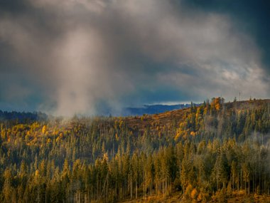 Sisli Sonbahar Yağmuru Ukrayna Karpatlar üzerinde Bulutlu.