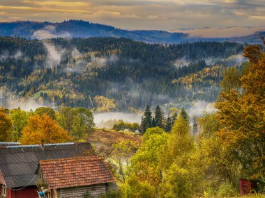 Sisli Sonbahar Yağmuru Ukrayna Karpatlar üzerinde Bulutlu.