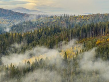 Sisli Sonbahar Yağmuru Ukrayna Karpatlar üzerinde Bulutlu.
