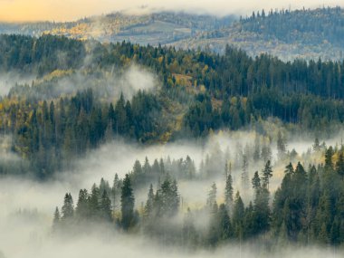 Sisli Sonbahar Yağmuru Ukrayna Karpatlar üzerinde Bulutlu.