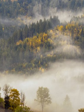 Sisli Sonbahar Yağmuru Ukrayna Karpatlar üzerinde Bulutlu.