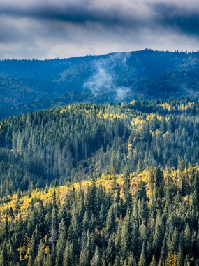 Kabarık Beyaz Bulutlu Güneşli Sonbahar Karpatları