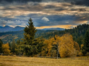 Güneşli Sonbahar Karpatları Gün Batımında Kabarık Beyaz