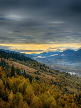 Güneşli Sonbahar Karpatları Gün Batımında Kabarık Beyaz