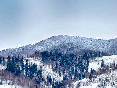 Karlı gizemli Karpatlar Bulutlu gökyüzünün altında