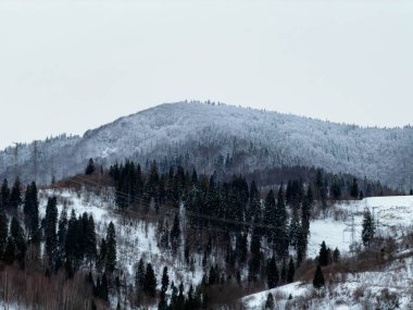Karlı gizemli Karpatlar Bulutlu gökyüzünün altında