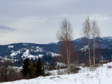Karlı gizemli Karpatlar Bulutlu gökyüzünün altında