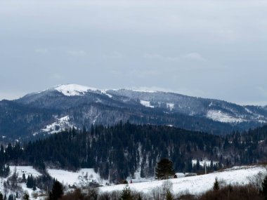 Karlı gizemli Karpatlar Bulutlu gökyüzünün altında