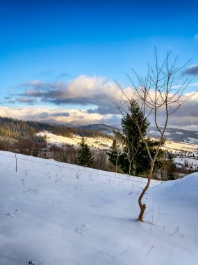 Karlı, gizemli Karpatlar bulutlu gökyüzünün altında güneşli bir havada