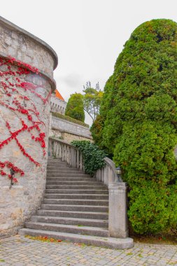 Slovakya, Avrupa 'daki Smolenice Şatosu' ndaki Eski Merdivenler. Yüksek kalite fotoğraf
