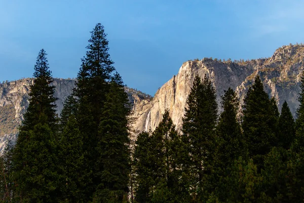 Yosemite 'de ağaçlar ve granit kaya yüzeyi