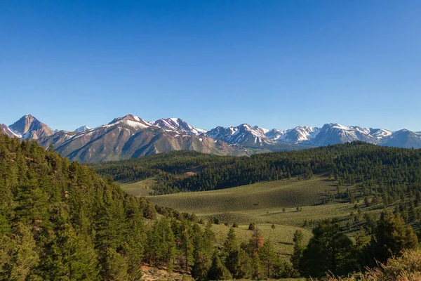 Зеленые холмы и лес с заснеженными горами — стоковое фото