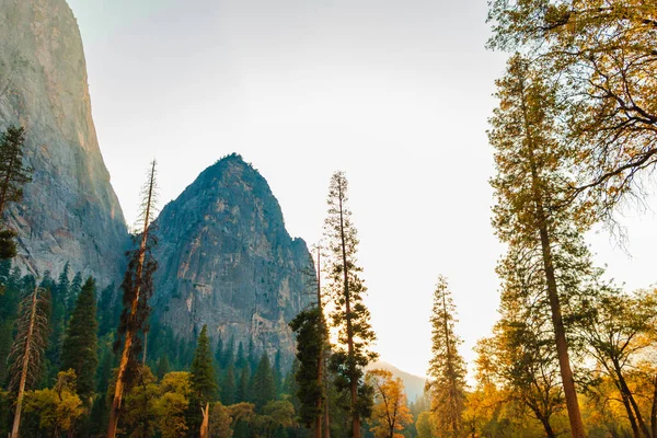 Yosemite 'deki ağaçların ve vadilerin üzerindeki granit tepeler